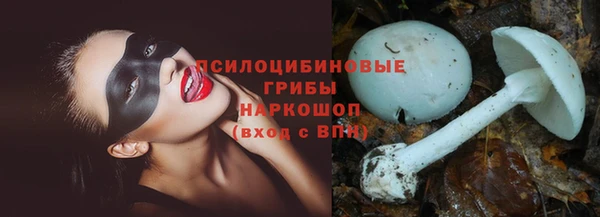 хмурый Алексеевка
