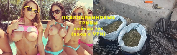 хмурый Алексеевка