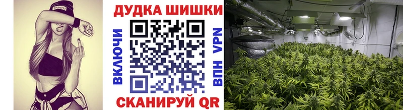 Конопля семена  OMG вход  Михайловск 
